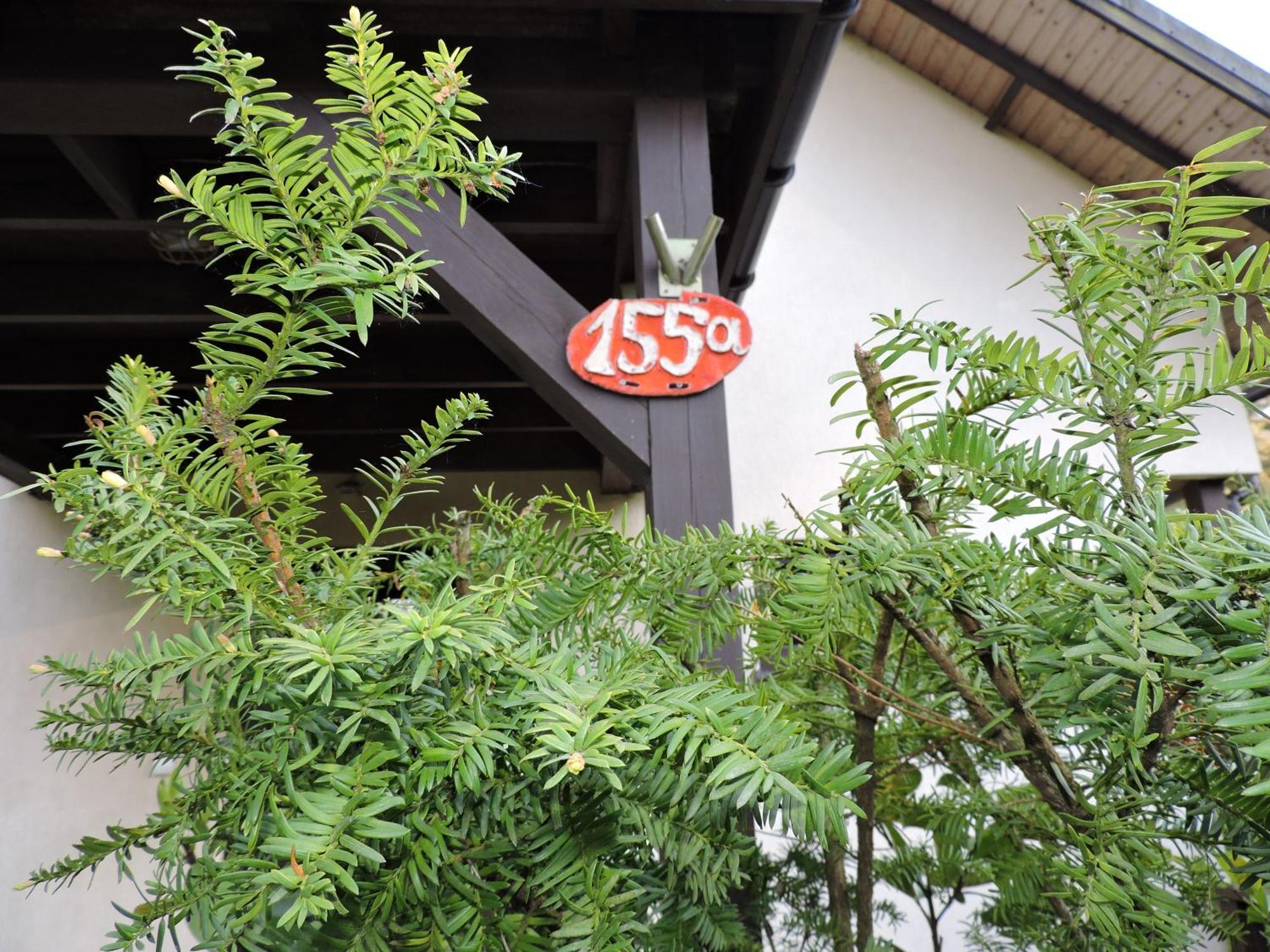 波别罗沃Lotosdom公寓 外观 照片